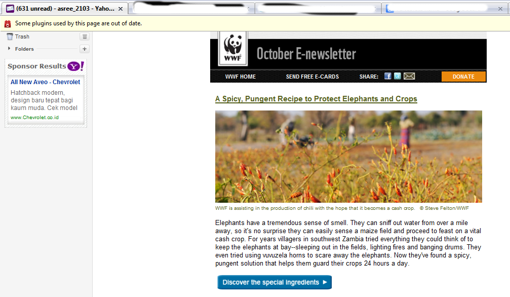 WWF October e-newsletter