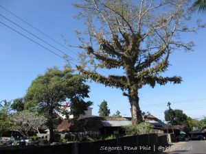 Pasar Randualas