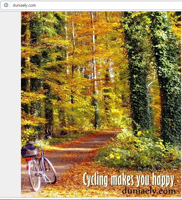 secuplik dari duniaely