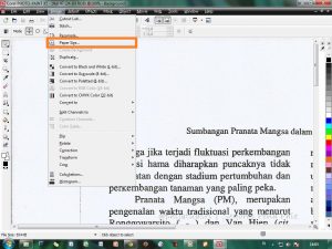 step 1. paper resize Corel Photo-Paint